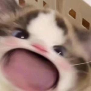 少妇被狂C下部❌羞羞漫画
