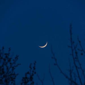 少妇被狂C下部❌羞羞漫画
